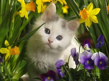 Animal Painting - linda foto de gato en flores